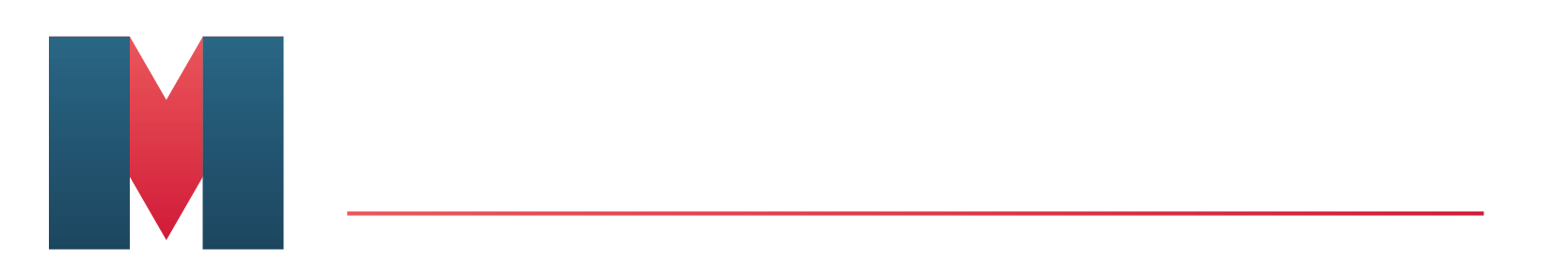 Macro Software Solutions logo